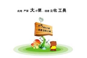 华体会网址-绿茵场的唯一法则，莱万多夫斯基的独舞与匈牙利足球的文艺复兴