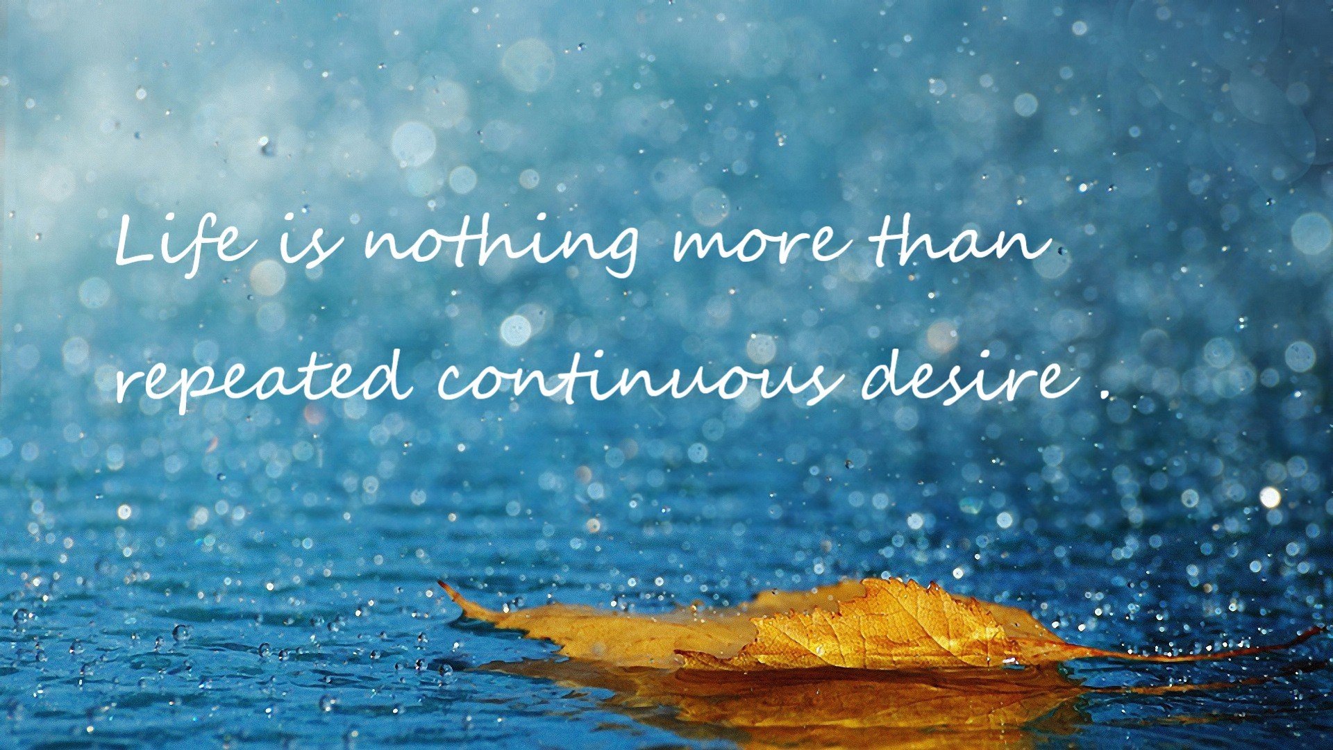 华体会登录-国王爆冷篮网背后，唯一的关键先生竟是黄蜂的拉梅洛  第2张