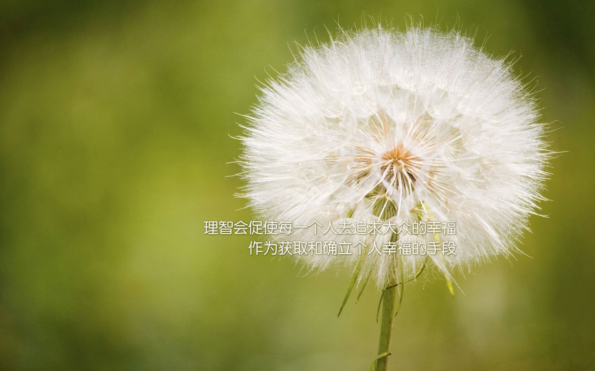 华体会体育-冰与火之歌,2026世界杯D组,维京战吼震碎加勒比海蓝 第2张 华体会体育-冰与火之歌,2026世界杯D组,维京战吼震碎加勒比海蓝 第2张
