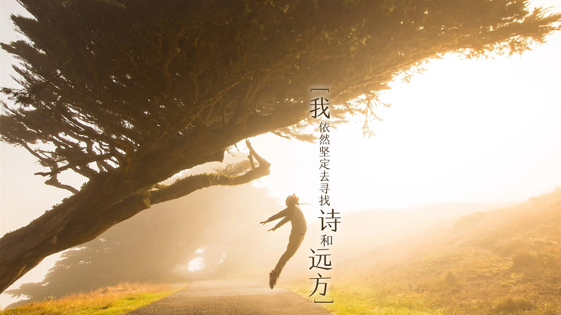 华体会-绝命一击，撕裂南美，范戴克头槌定乾坤，澳大利亚在2026世界杯A组演绎唯一传奇  第2张